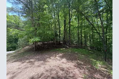 0 Nectar Lane, Ellijay, GA 30540 - Photo 4
