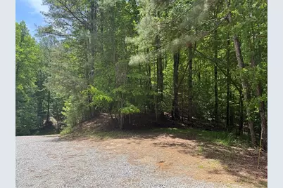 0 Nectar Lane, Ellijay, GA 30540 - Photo 8