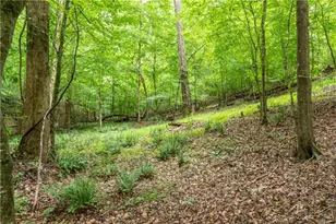 4674 Chestatee Heights Rd, Gainesville, GA 30506 - Photo 46
