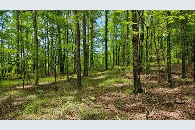 144 Hwy 341 S, Barnesville, GA 30204 - Photo 14