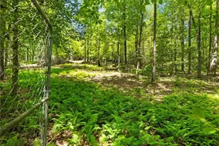 220 Evans Ln, Lakemont, GA 30552 - Photo 88