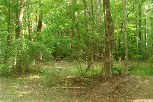 1611 Lake View Ct, Loganville, GA 30052 - Photo 70