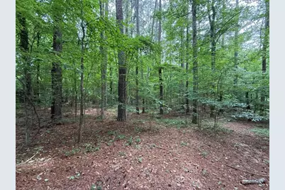 0 Bollen Road, Rome, GA 30165 - Photo 4