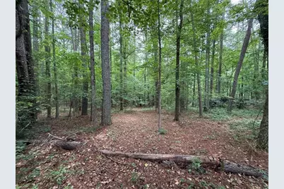 0 Bollen Road, Rome, GA 30165 - Photo 2