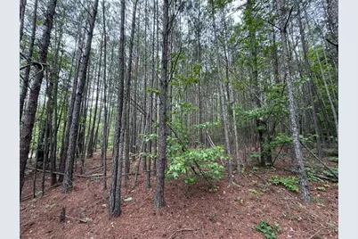 0 Natures Walk Drive, Rome, GA 30165 - Photo 4