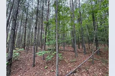 0 Natures Walk Drive, Rome, GA 30165 - Photo 2