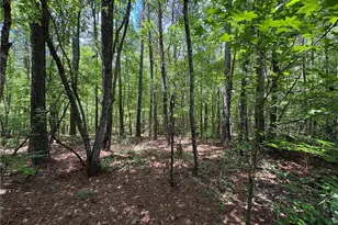 1933 Hwy 101 N, Dallas, GA 30157 - Photo 46