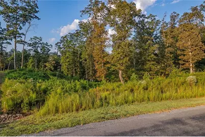 0 High River Road, Ellijay, GA 30540 - Photo 8