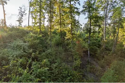 0 High River Road, Ellijay, GA 30540 - Photo 4