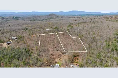 40A Synacia Road, Mineral Bluff, GA 30559 - Photo 1