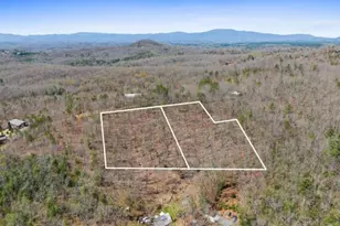 40A Synacia Rd, Mineral Bluff, GA 30559 - Photo 1