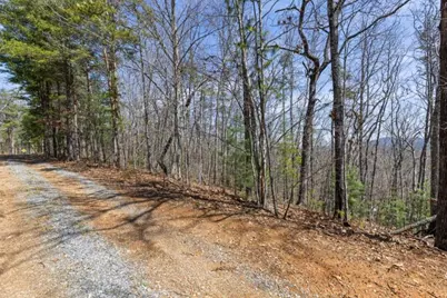 40A Synacia Road, Mineral Bluff, GA 30559 - Photo 14