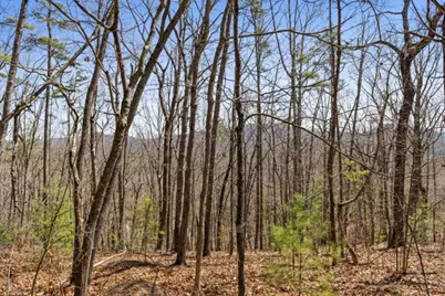 40A Synacia Road, Mineral Bluff, GA 30559 - Photo 16
