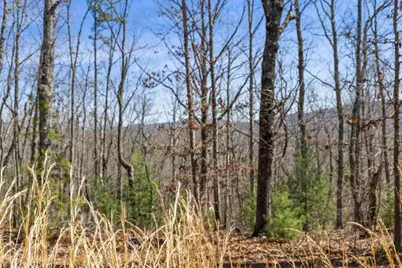 40A Synacia Road, Mineral Bluff, GA 30559 - Photo 12