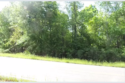 0 Causey Rd, Knoxville, GA 31050 - Photo 2