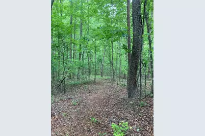 00 Crest View Drive, Dahlonega, GA 30533 - Photo 8