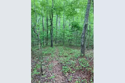 00 Crest View Drive, Dahlonega, GA 30533 - Photo 6