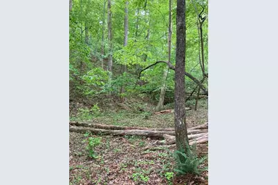 00 Crest View Drive, Dahlonega, GA 30533 - Photo 12