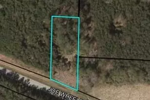 0 US Hwy 278, Cedartown, GA 30125 - Photo 1