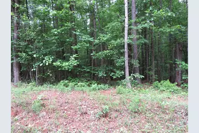 0 Doke Cohran Road, Dallas, GA 30157 - Photo 2
