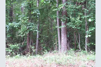 0 Doke Cohran Road, Dallas, GA 30157 - Photo 8