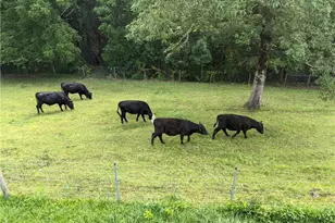 912 4 Mile Church Rd, Ball Ground, GA 30107 - Photo 68