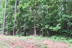 0 Doke Cohran Rd, Dallas, GA 30157 - Photo 1