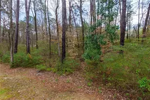 2913 Ilir Mnr NW, Atlanta, GA 30318 - Photo 28