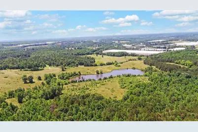 0000 Wayne Poultry Road, Pendergrass, GA 30567 - Photo 6
