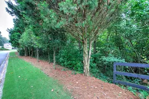 346 Thorn Creek Way, Dallas, GA 30157 - Photo 48