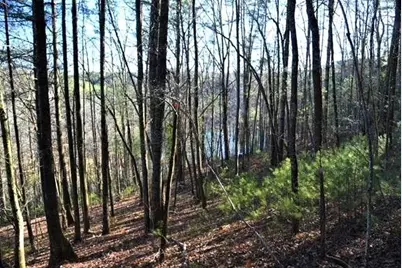 409 Harrison Sluder Road, Ellijay, GA 30540 - Photo 30