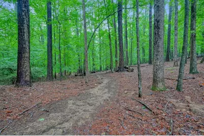 3650 Walden Cove, Acworth, GA 30102 - Photo 84