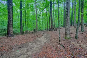 3650 Walden Cove, Acworth, GA 30102 - Photo 84