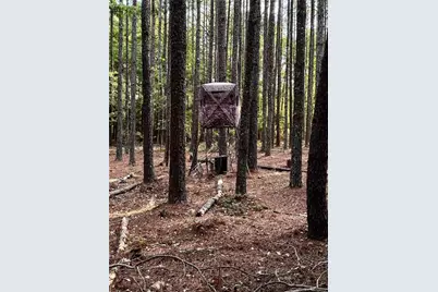 0 Conger Road, Union Point, GA 30669 - Photo 8