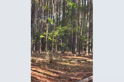0 Conger Road, Union Point, GA 30669 - Photo 10