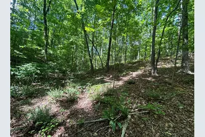 0 Fouts Mill Rd, Douglasville, GA 30135 - Photo 2