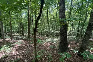 0 Fouts Mill Rd, Douglasville, GA 30135 - Photo 1