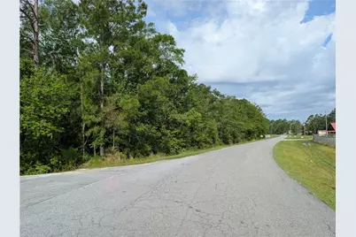 0 Langdale Drive, Nashville, GA 31639 - Photo 2