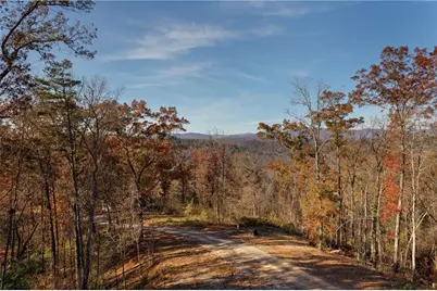 456 Back Pine Way, Ellijay, GA 30536 - Photo 48