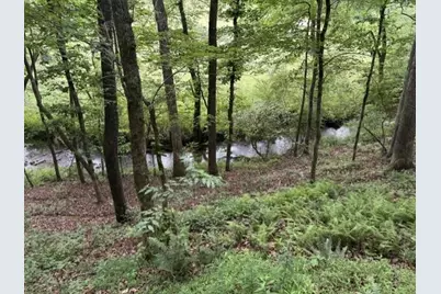 255 Clear Creek Preserve Way, Ellijay, GA 30536 - Photo 54