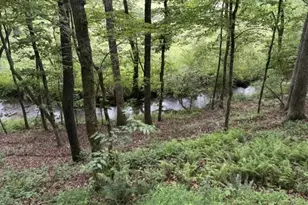255 Clear Creek Preserve Wy, Ellijay, GA 30536 - Photo 54