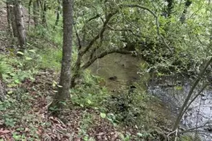 255 Clear Creek Preserve Wy, Ellijay, GA 30536 - Photo 4