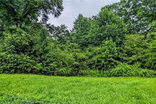 99 Center Grove Dr, Cleveland, GA 30528 - Photo 4
