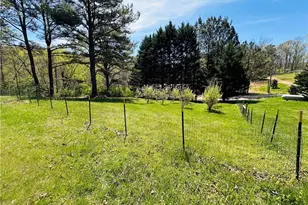 630 Crump Creek Rd, Blairsville, GA 30512 - Photo 4