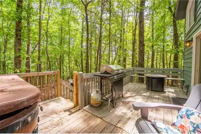 254 Star Lake Lane, Sautee Nacoochee, GA 30571 - Photo 42
