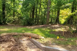 0 Cemetery St, Fairburn, GA 30213 - Photo 1