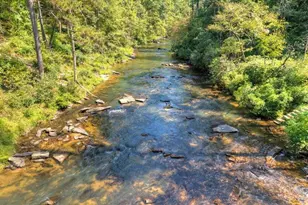 566 Canoe, Ellijay, GA 30540 - Photo 4