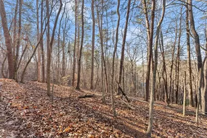 0 Golden Lot 4 Avenue, Dahlonega, GA 30533 - Photo 12