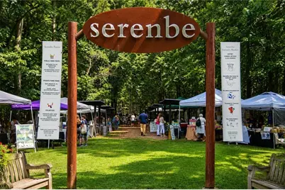 12 N Alexander Creek Road, Newnan, GA 30263 - Photo 10
