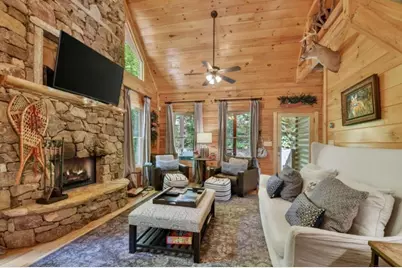 101 Overlook Road, Blue Ridge, GA 30513 - Photo 8